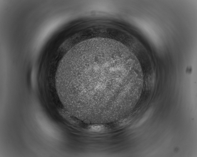 X0000099990189200806201458