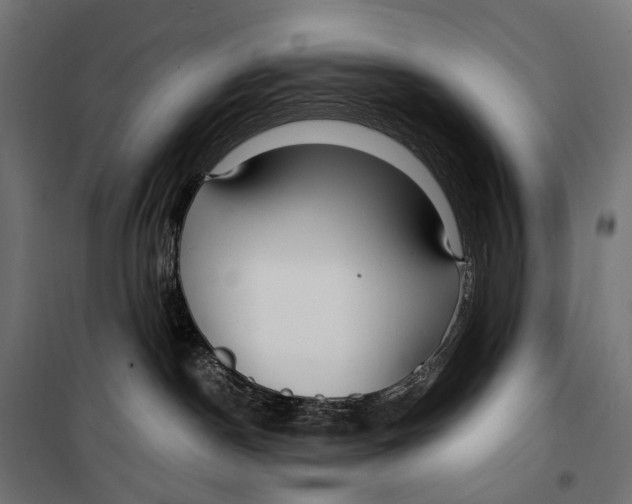 X0000099990190200806201458