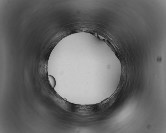 X0000099990191200806201458