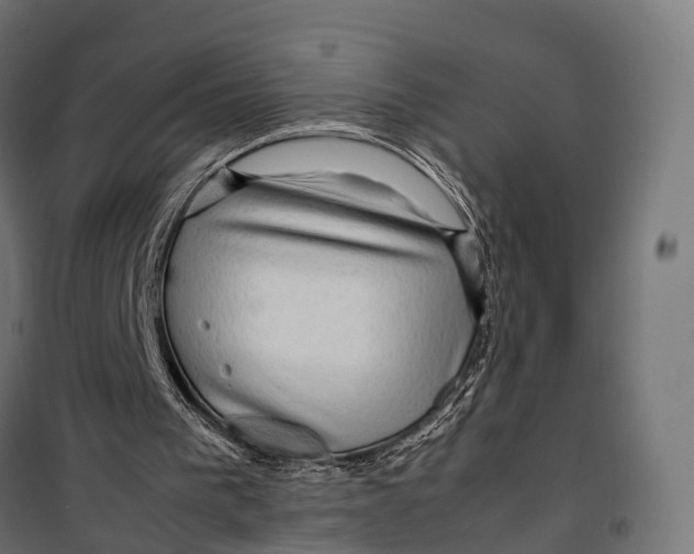 X0000099990193200806201458