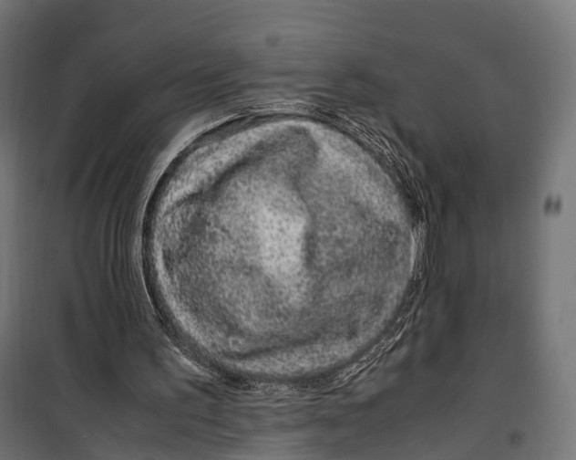 X0000099990195200806201458