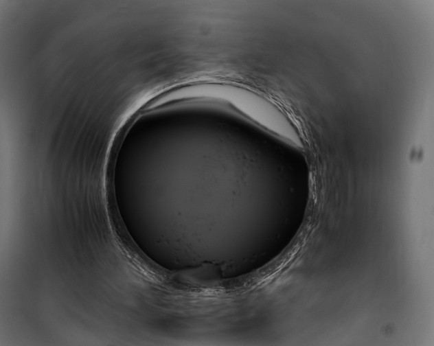 X0000099990196200806201458