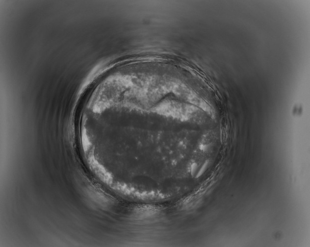 X0000099990198200806201458