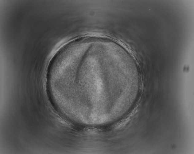 X0000099990199200806201458