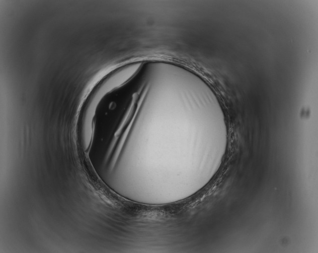 X0000099990200200806201458