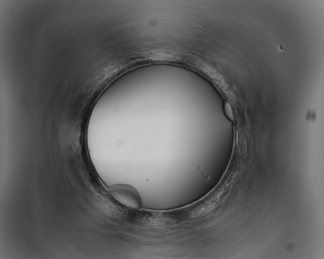 X0000099990201200806201458