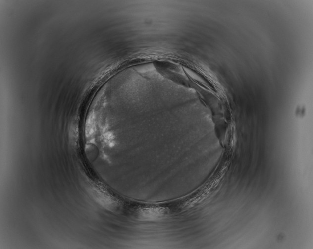 X0000099990202200806201458