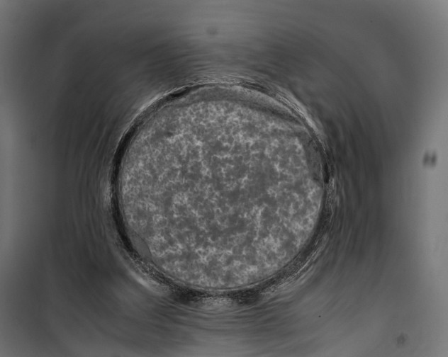 X0000099990203200806201458