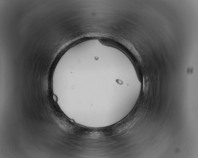 X0000099990204200806201458