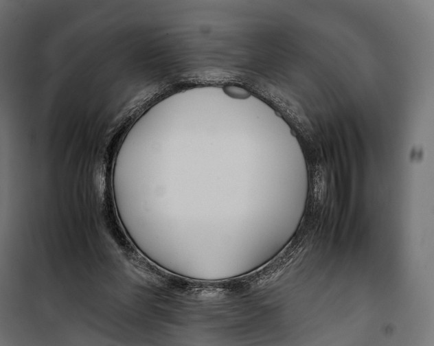 X0000099990206200806201458