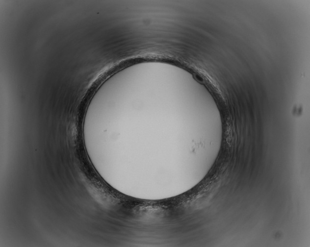 X0000099990208200806201458