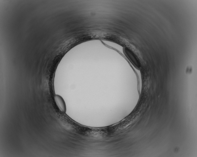 X0000099990209200806201458