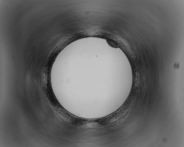 X0000099990210200806201458