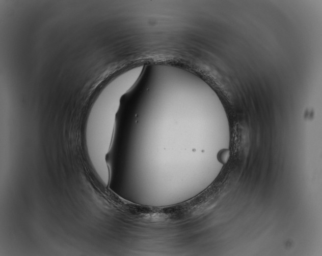 X0000099990212200806201458