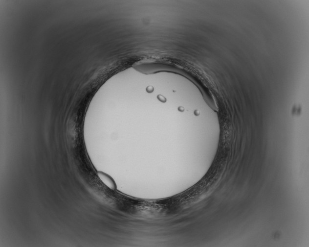 X0000099990215200806201458