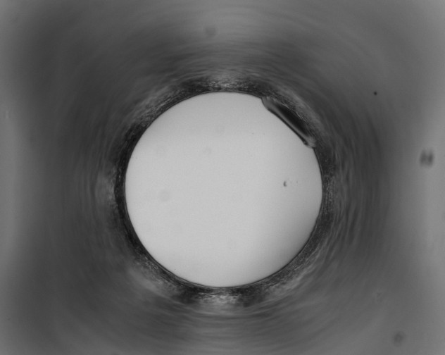 X0000099990217200806201457