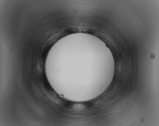 X0000099990218200806201457