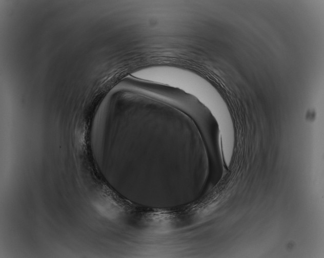 X0000099990219200806201457