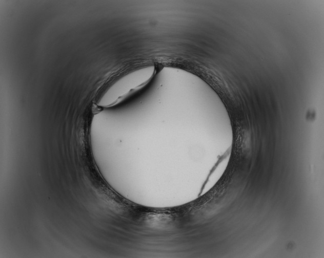 X0000099990220200806201457