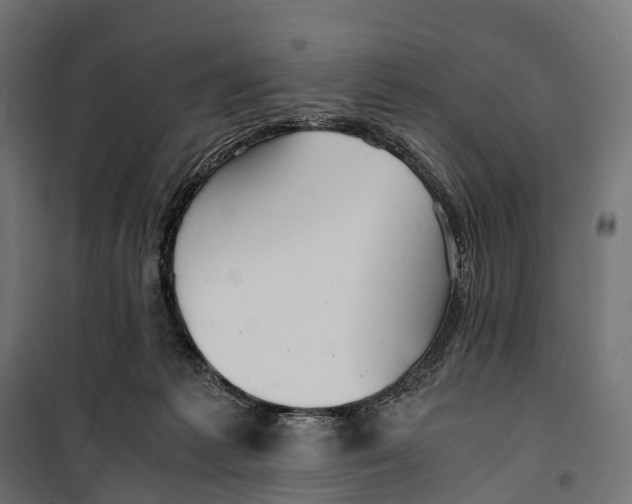 X0000099990221200806201457