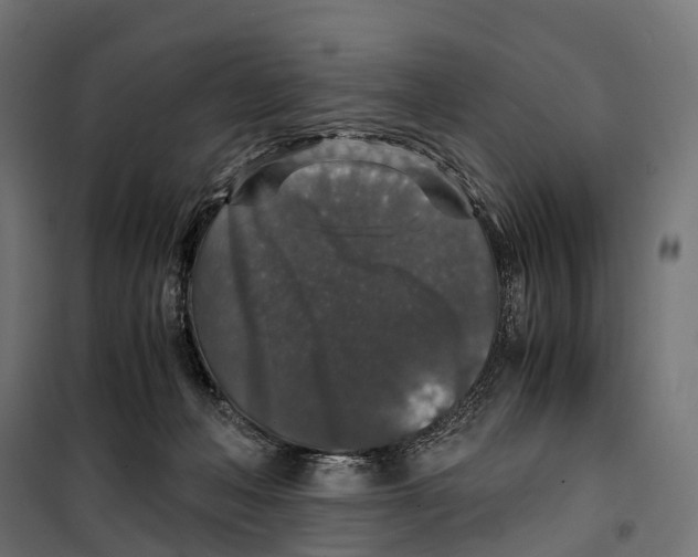 X0000099990222200806201457