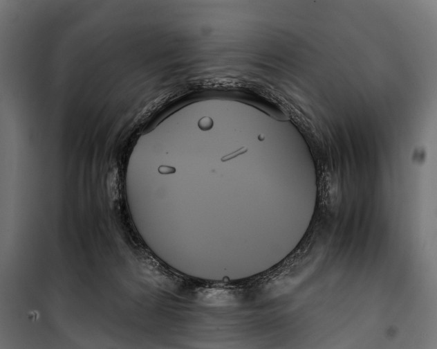 X0000099990224200806201457