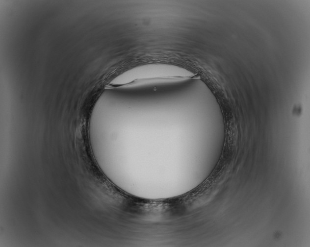 X0000099990225200806201457