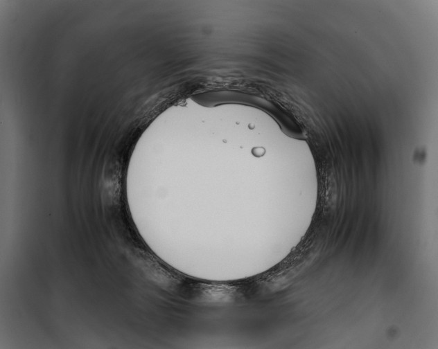 X0000099990226200806201457