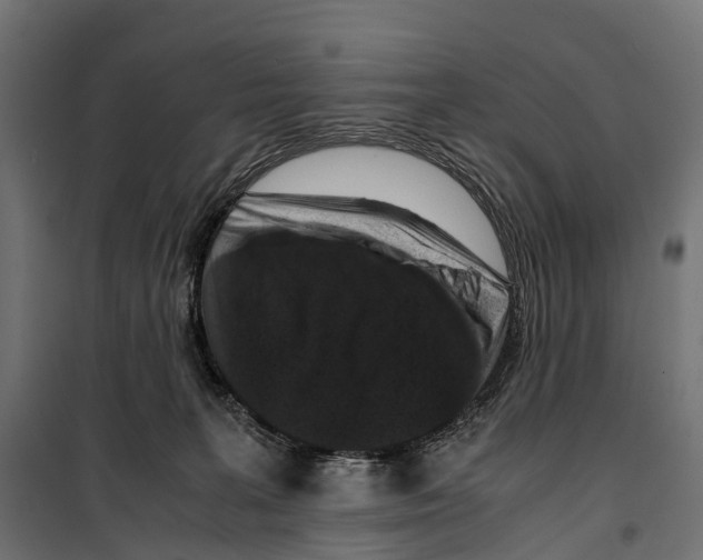 X0000099990227200806201457