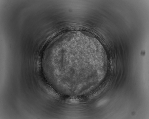 X0000099990228200806201457