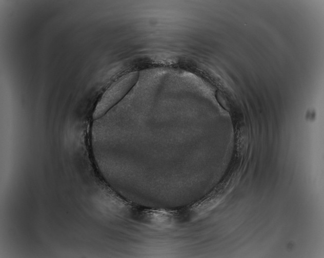 X0000099990229200806201457