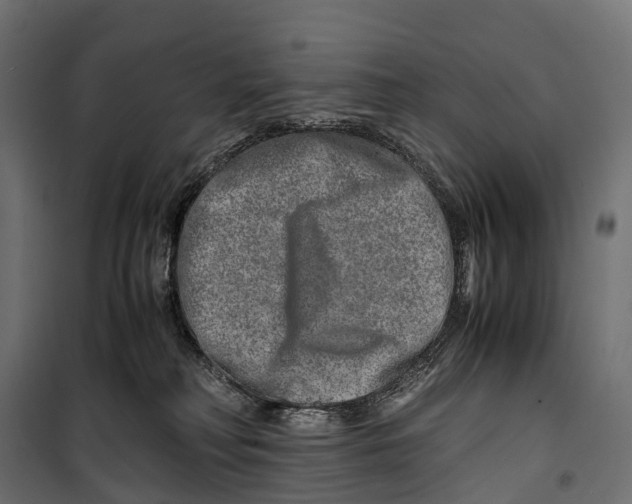 X0000099990230200806201457