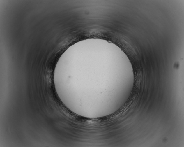 X0000099990232200806201457