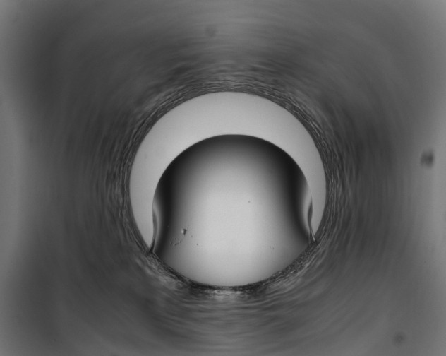 X0000099990233200806201457