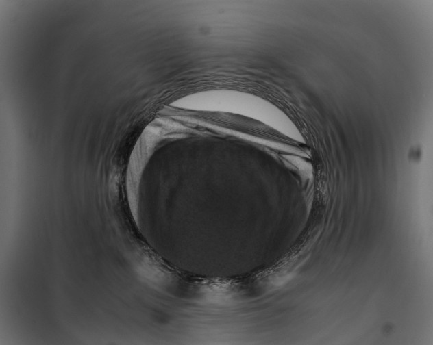 X0000099990235200806201457