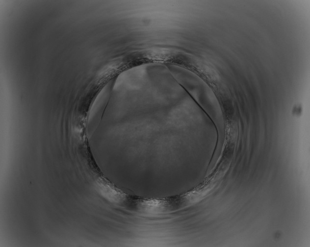 X0000099990237200806201457