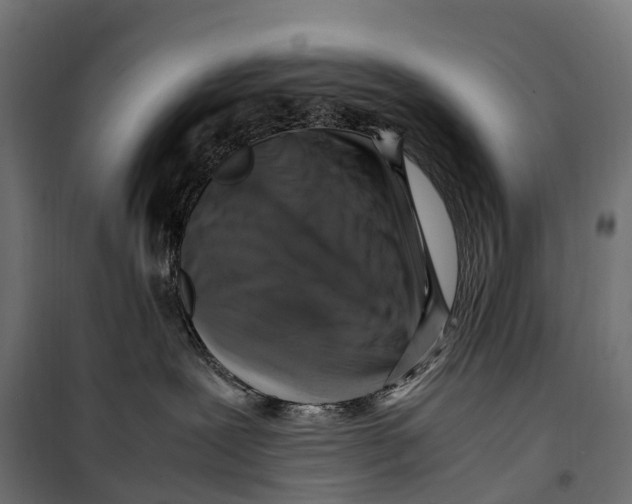 X0000099990239200806201457