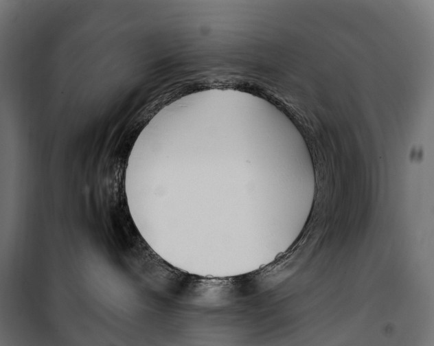 X0000099990240200806201457