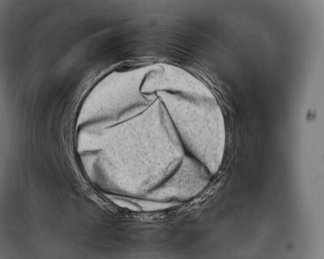 X0000099990241200806201456