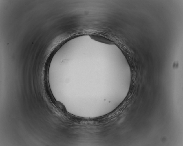 X0000099990242200806201456