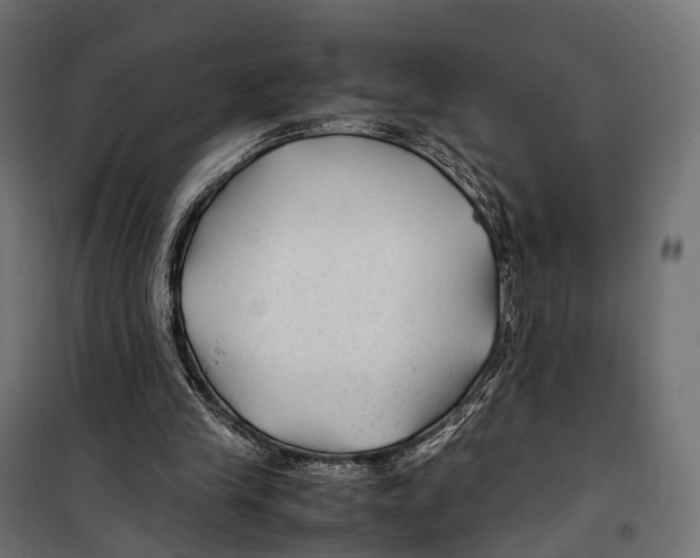 X0000099990245200806201457