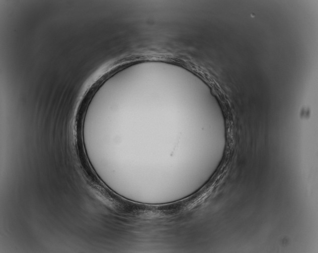 X0000099990246200806201457