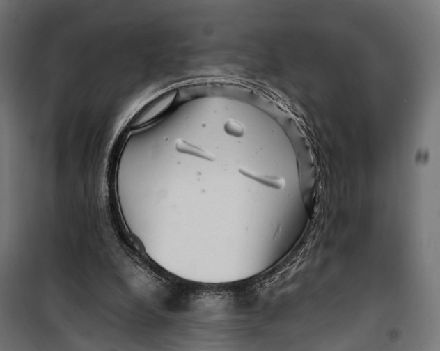 X0000099990248200806201457