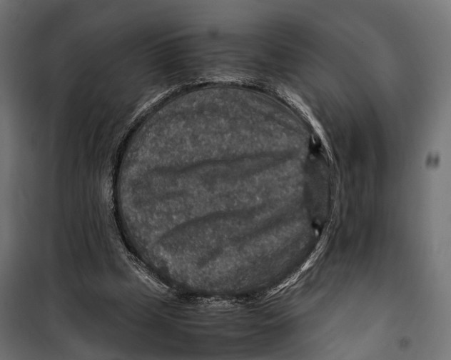 X0000099990249200806201457