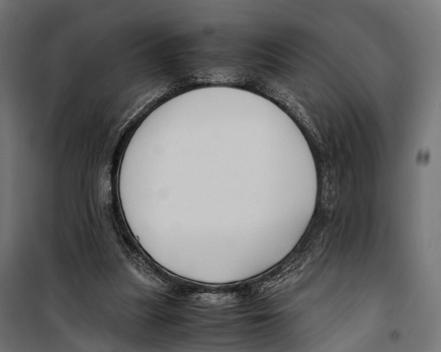 X0000099990251200806201457