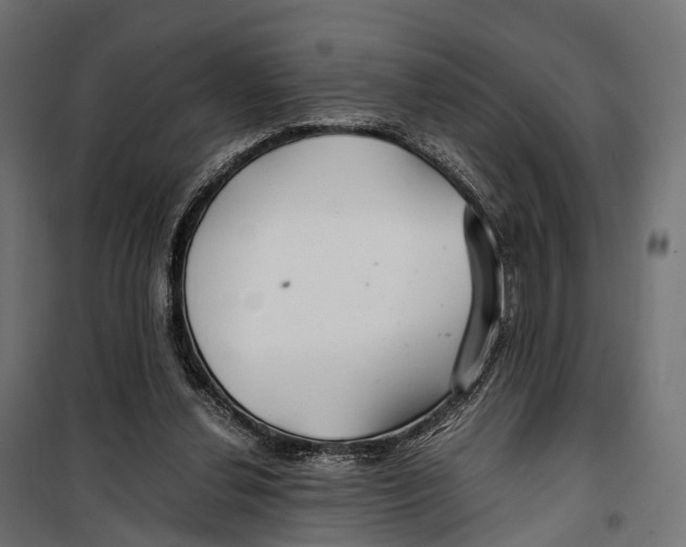 X0000099990252200806201457