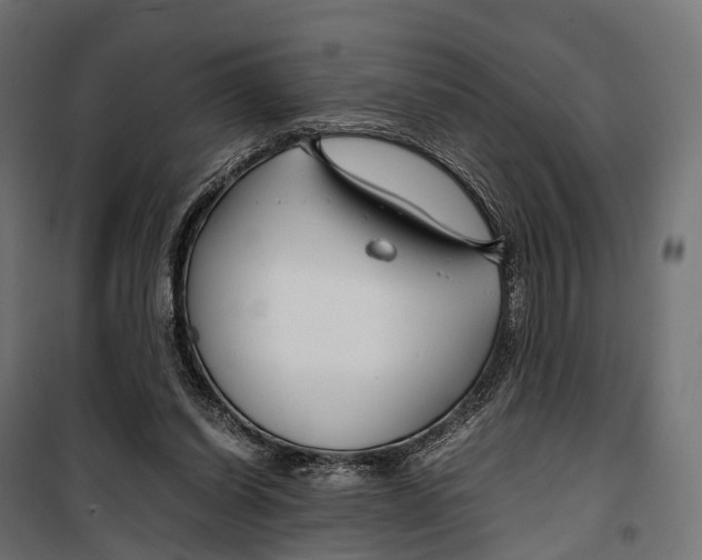 X0000099990254200806201457