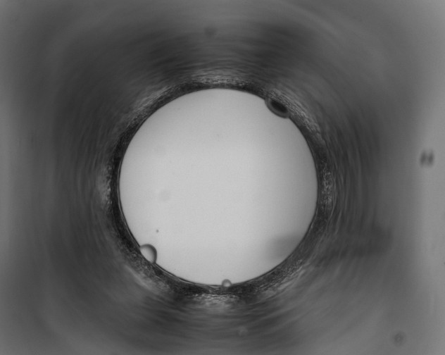 X0000099990255200806201457