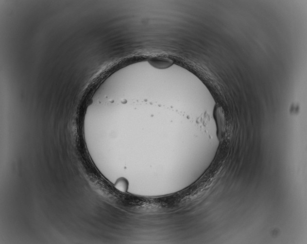 X0000099990256200806201457