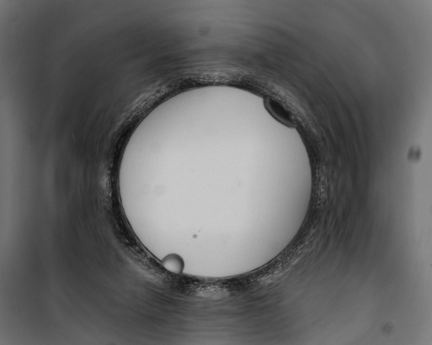 X0000099990258200806201457